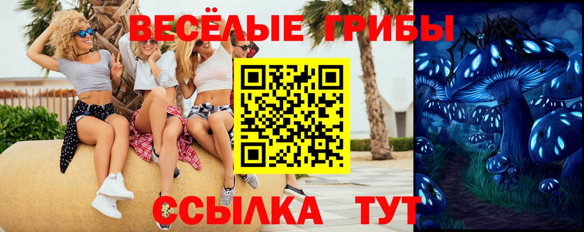 Галлюциногенные грибы Psilocybe  Галлюциногенные грибы прущие грибы  Вход с VPN  наркошоп  Ишим 